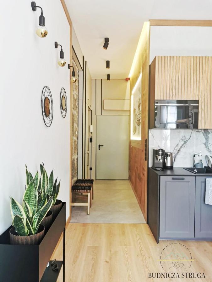 Apartament Budnicza Struga Z Sauna I Parkingiem - 5D Apartamenty Карпач Екстериор снимка